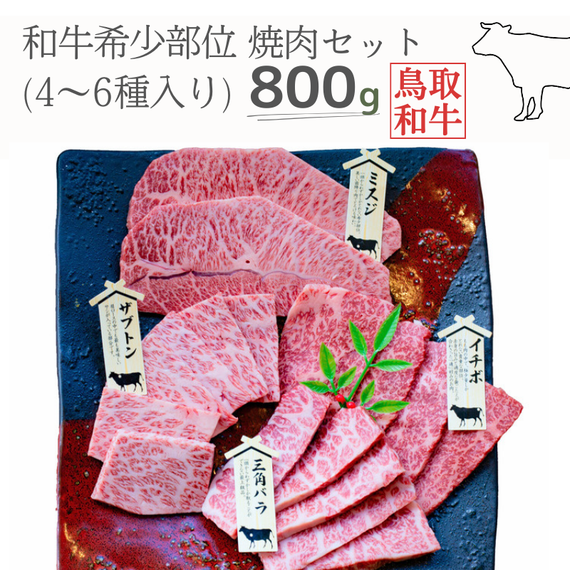 a󏭕ʏēZbg v800g 4`6 挧Y nt@[R] MK2 0993挧]{27000