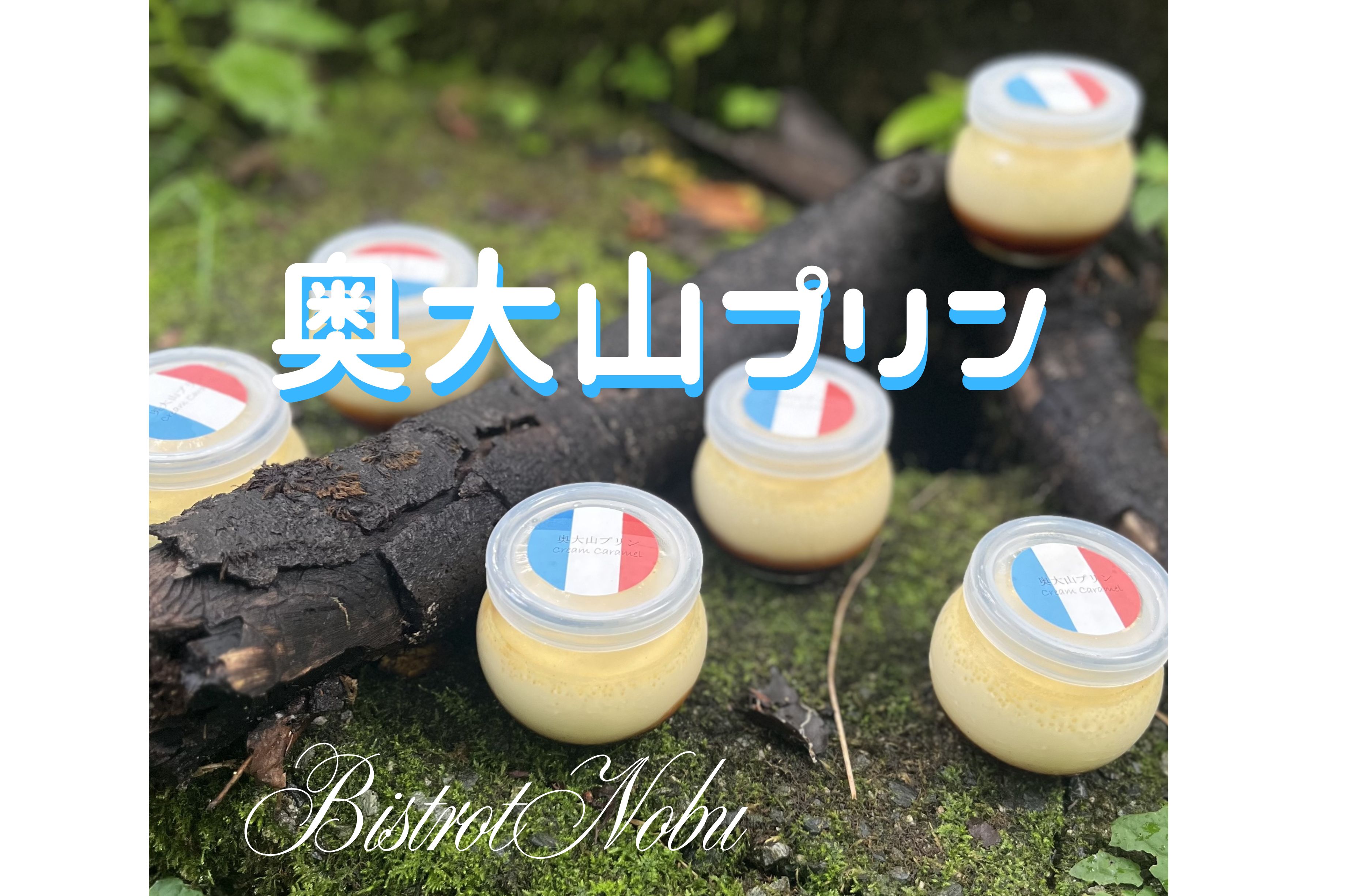 奥大山プリン 6個入り ビストロノブ ミシュラン ビブグルマン 1192鳥取県江府町14000菓子・スイーツプリン・ゼリー