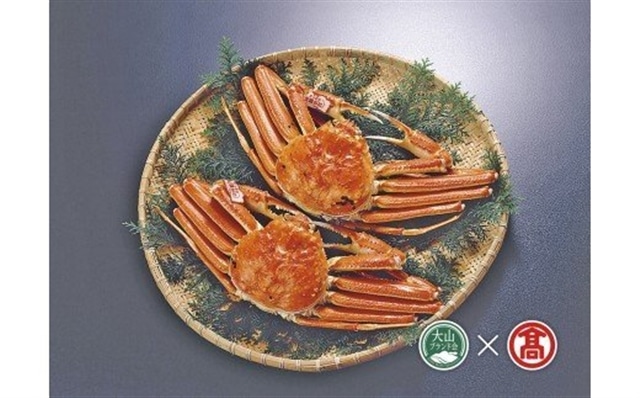 tɃ{C1kg×2iRuhjĎq 180-AT11 0314挧]{180000ECY