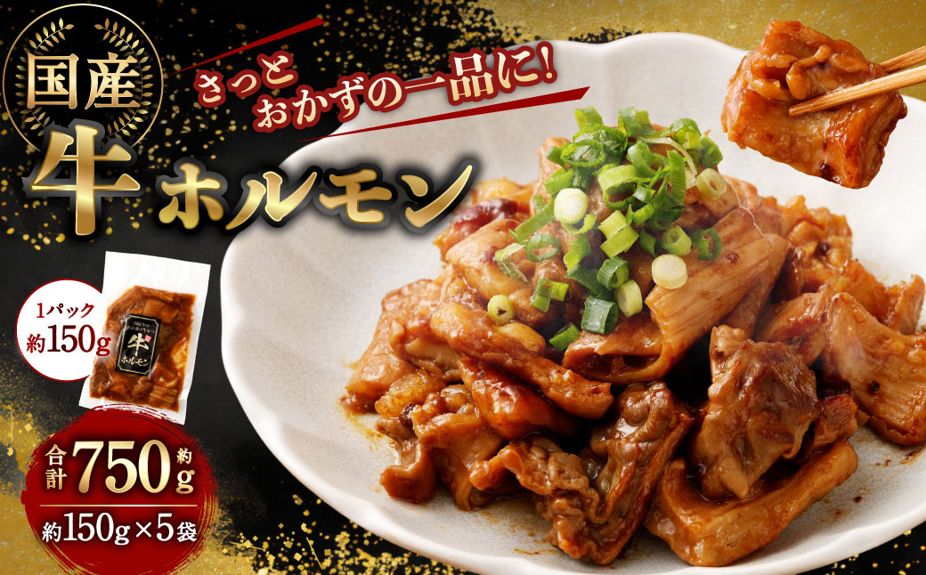 国産牛ホルモン 750g(150g×5袋) | 牛 ホルモン 特製ダレ 国産 味付 おかず おつまみ お肉 冷凍 静岡県 菊川市静岡県菊川市10000肉牛肉