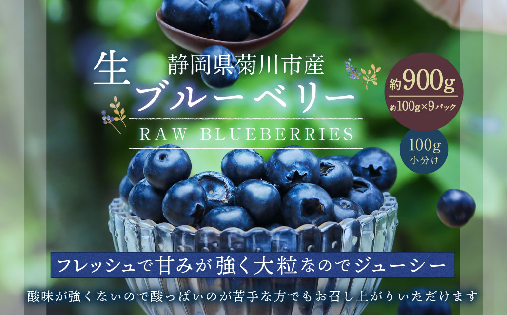 生ブルーベリー 計約900g(約100g×9パック)【2026年4月下旬-6月上旬発送予定】 |ブルーベリー 果物 フルーツ 静岡県 菊川市静岡県菊川市16000果物・フルーツその他 果物・フルーツ