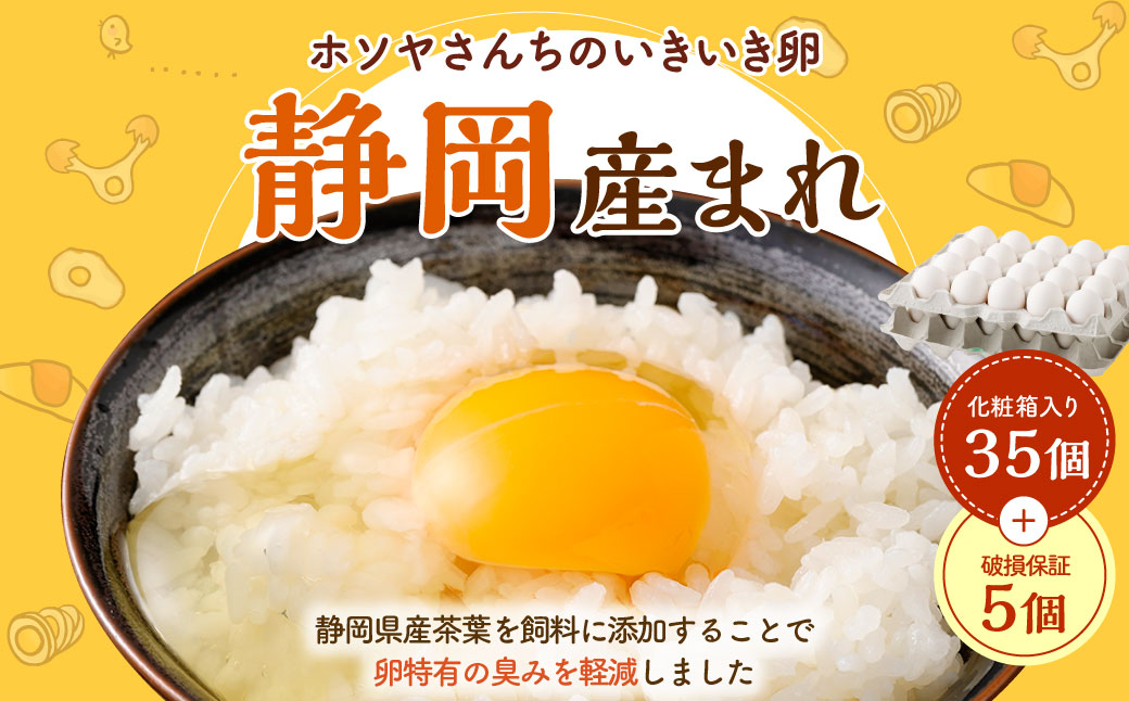 「 ホソヤさんちのいきいき卵 」静岡産まれ 40個 ( 割れ補償 5個含む ) セット 化粧箱入 たまご 卵 玉子 生卵 静岡 国産静岡県菊川市8000卵・乳製品卵(鶏、烏骨鶏等)