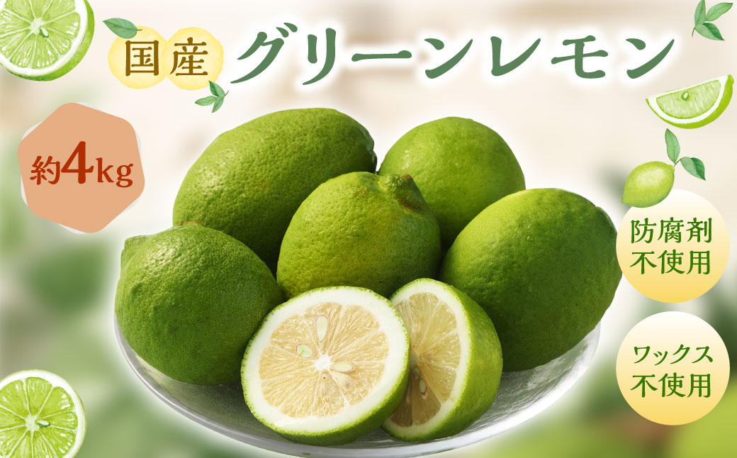 国産グリーンレモン  4kg【2024年10月上旬-11月下旬発送予定】| フルーツ 果物 グリーンレモン レモン 柑橘 れもん 檸檬 国産 静岡県 菊川市静岡県菊川市14000果物・フルーツみかん・柑橘類