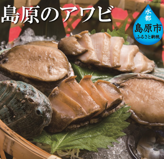 たっぷりの海藻ミネラルで育てた 島原のアワビ長崎県島原市96000魚介・海産物貝類