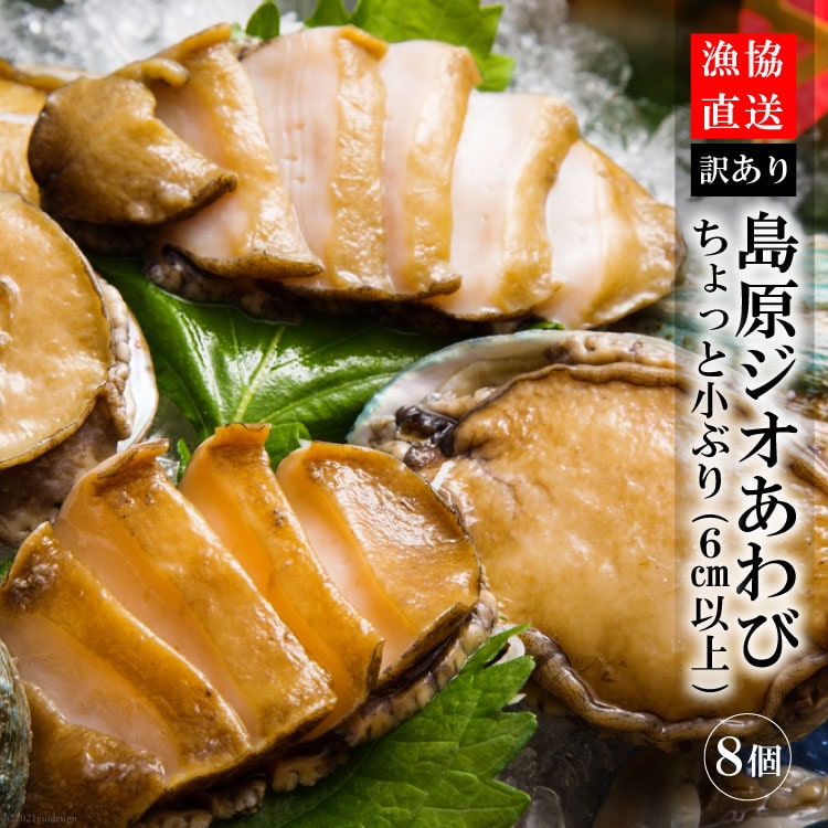 【訳あり】漁協直送!島原ジオあわび 8個(ちょっと小ぶり:6cm以上)長崎県島原市20000魚介・海産物貝類