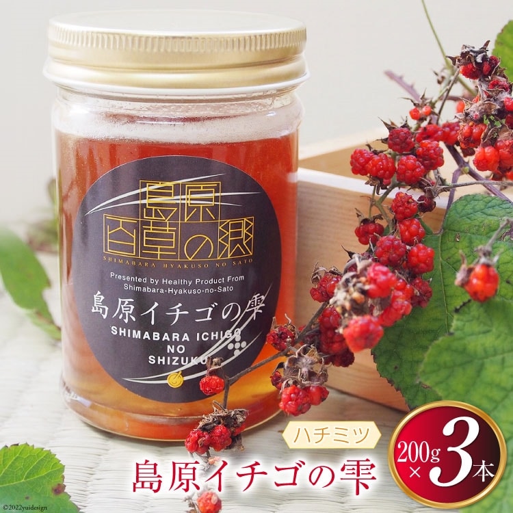 AG123島原イチゴの雫 200g×3本長崎県島原市25000鍋セット・総菜・加工食品ジャム・はちみつ