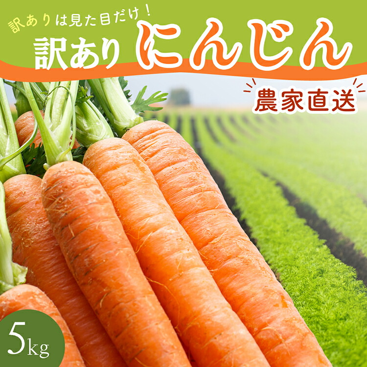 【AH051】【訳あり】堀農園のこだわり人参 約5kg長崎県島原市6000野菜・きのこ大根・ニンジン・根菜類