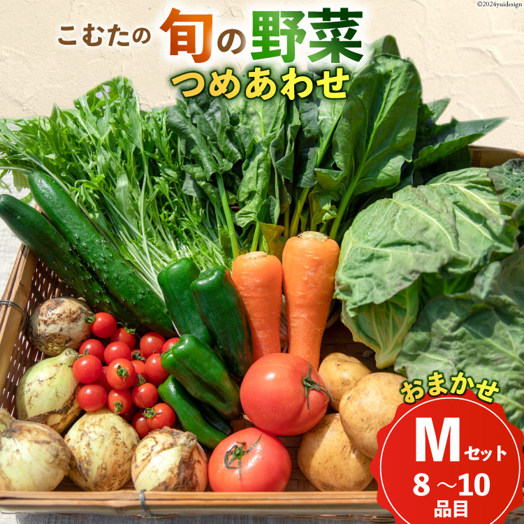 AI022【10〜5月限定出荷】こむたの旬の野菜つめあわせ(8〜10品目)おまかせ M セット 【 野菜 やさい 旬 種類 人気 オススメ 新鮮 詰め合わせ こむた 小無田 青果 長崎県 島原市 】長崎県島原市90