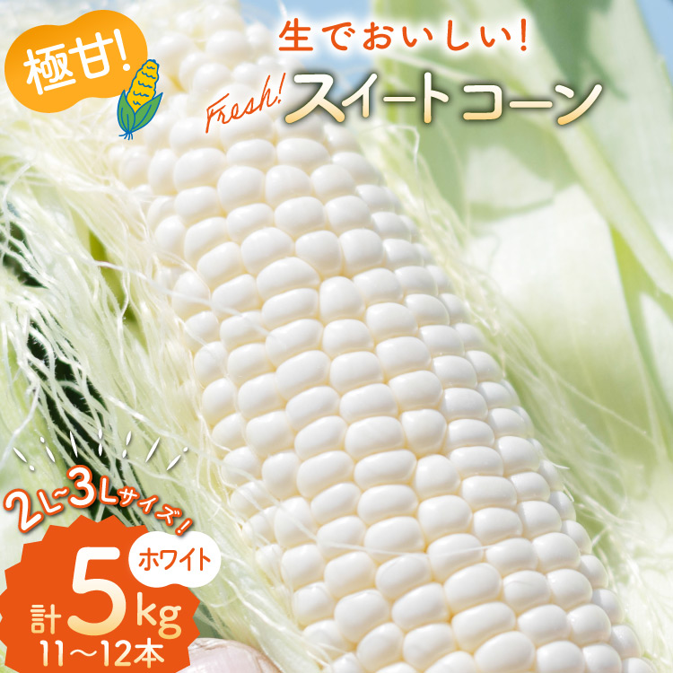 AI206yߘa8NxoוzƂ낱 XC[gR[ zCg 2L~3LTCY 11{~12{ v5kg [ gERV R[ zCgR[  5L  SAKAI FARM 茧 s ]茧