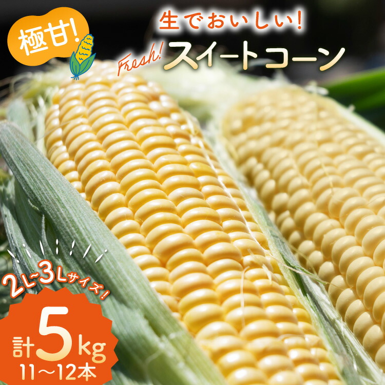 AI207yߘa8NxoוzƂ낱 XC[gR[ CG[ 2L~3LTCY 11{~12{ v5kg [ gERV R[ S[hbV  5L  SAKAI FARM 茧 s ]茧