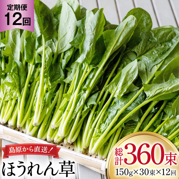 AI328  12 ق 30 [  zE ₳ zE\E ① t c_ 茧 s ]茧s300000؁Ê̑ 