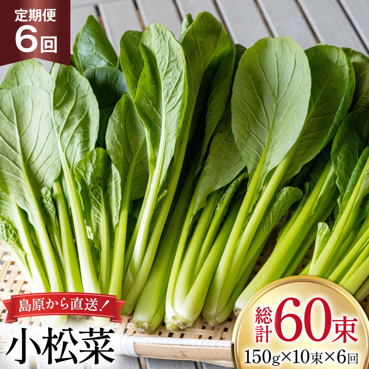 AI330  6  10 [  ܂ ₳ ① t c_ 茧 s ]茧s54000؁Ê̑ 