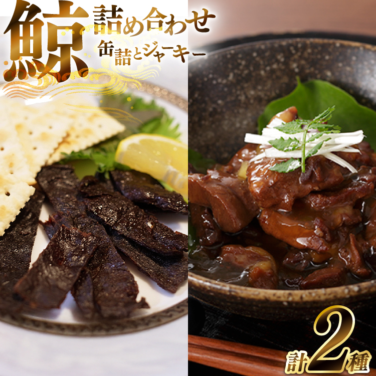AJ147  aϊʋl W[L[ Zbg e5 [  NW ~  ܂   ۑH 쏤X 茧 s ]茧s20000ECY̑ ECY