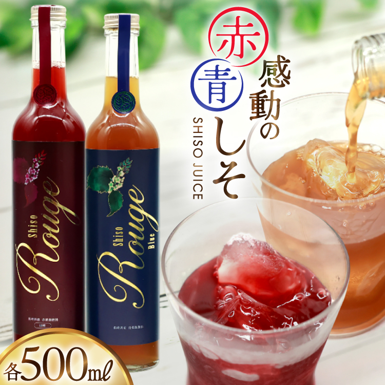 AJ307 ̐ԂW[X r 500ml ̐W[X r 500ml [ W[X hW[X Ԃ  茧 s ]茧s12000Eʏ`E؈