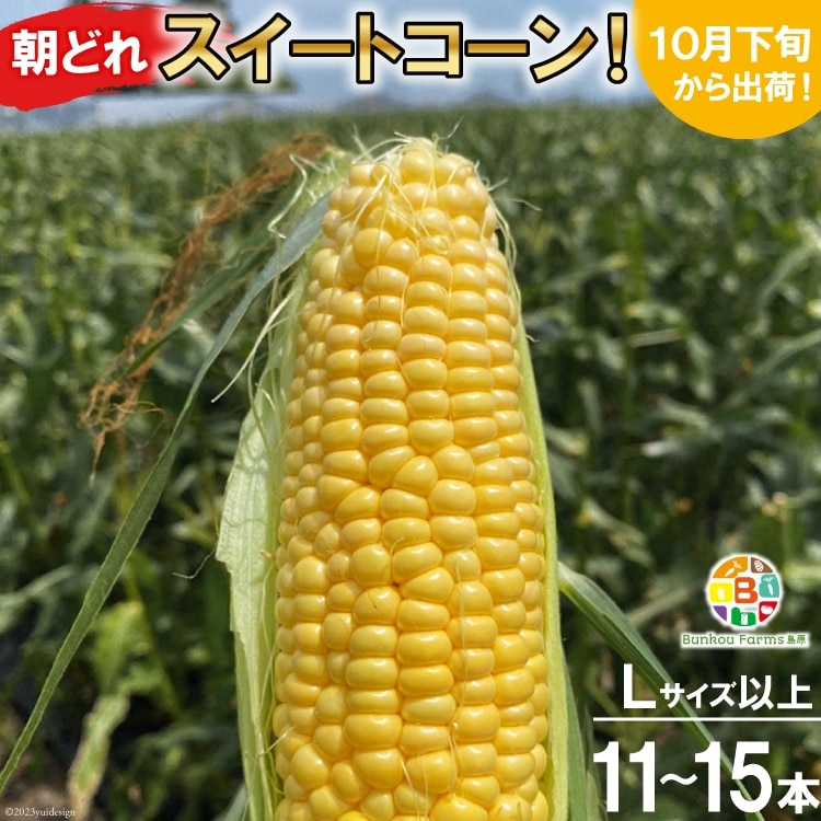 BF111 10{oׁIuǂXC[gR[IvLTCYȏ×11`15{ZbgySIɂHGoׁz茧s15000؁Ê