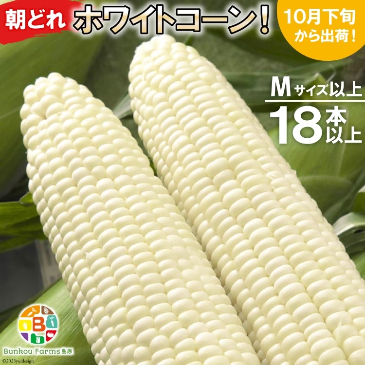 BF112 10{oׁIu̒ǂzCgR[IvMTCYȏ×18{ȏySIɂHGoׁz茧s15000؁Ê