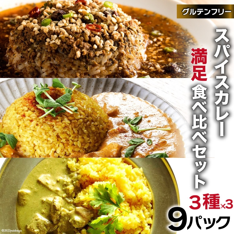 BG028 スパイスカレー 満足食べ比べセット 3種類 150g×各3 計9パック [ カレー キーマカレー グリーンカレー バターチキンカレー 冷凍 豚肉 鶏肉 ポークカレー おいしい セット 詰め合わせ 長崎