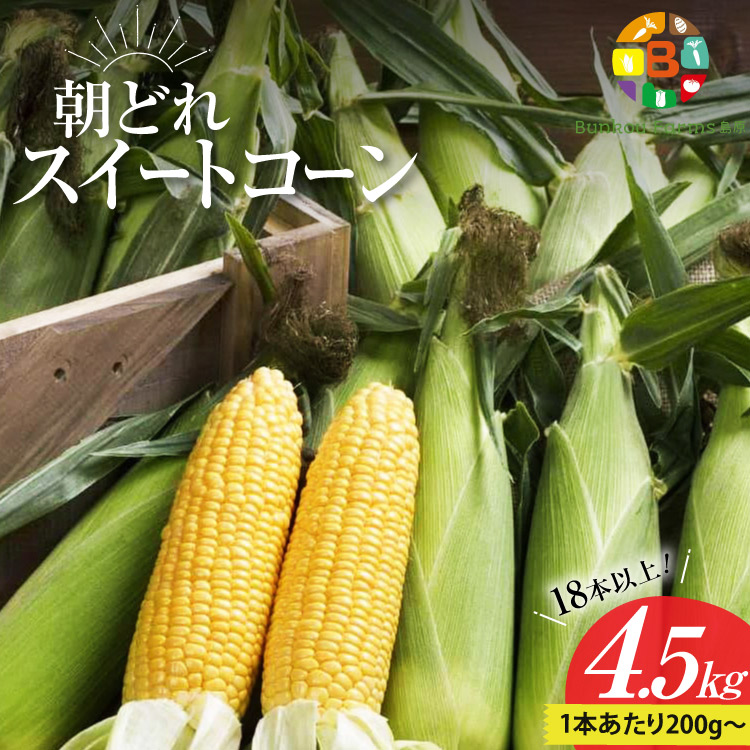 BG035 【令和8年度出荷分】 5月下旬から出荷! 朝どれ スイートコーン 200g以上×18本以上 4.5kg ~名水百選の里 島原産~長崎県島原市10000野菜・きのことうもろこし