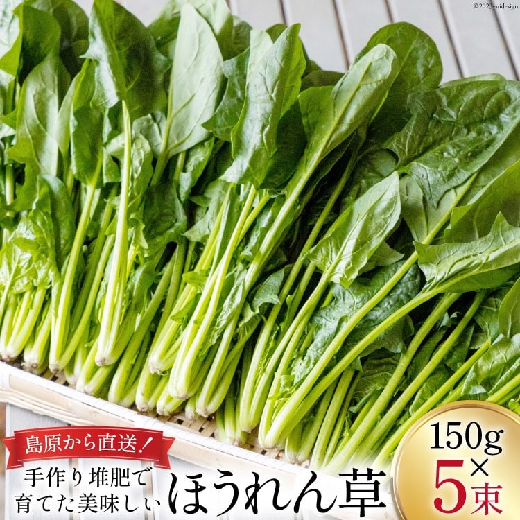 【BH009】ほうれん草 150g×5束長崎県島原市8000野菜・きのこ大根・ニンジン・根菜類