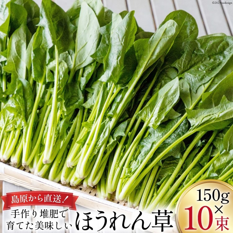 【BH010】ほうれん草 150g×10束長崎県島原市12000野菜・きのこ大根・ニンジン・根菜類
