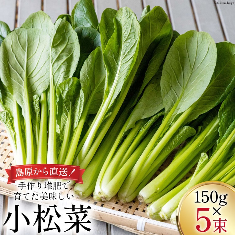 【BH012】小松菜 150g×5束長崎県島原市7000野菜・きのこ大根・ニンジン・根菜類