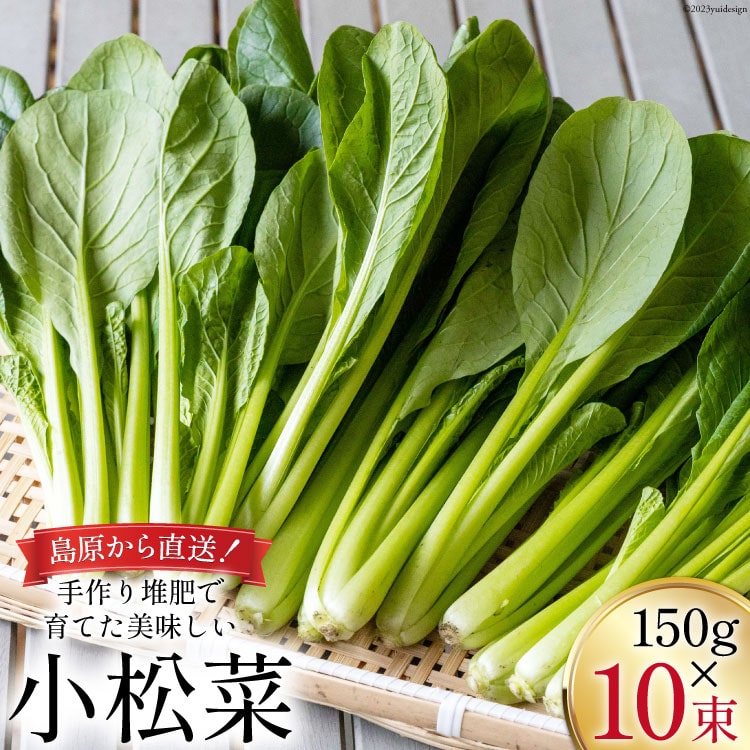【BH013】小松菜 150g×10束長崎県島原市10000野菜・きのこ大根・ニンジン・根菜類