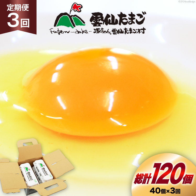 BI031 3  _傽܂LTCY 40 (10×4pbN) (37{⏞3) [  ܂  { ԗ ʎq VN ˂_傽܂ 茧 s ]茧s27000Ei