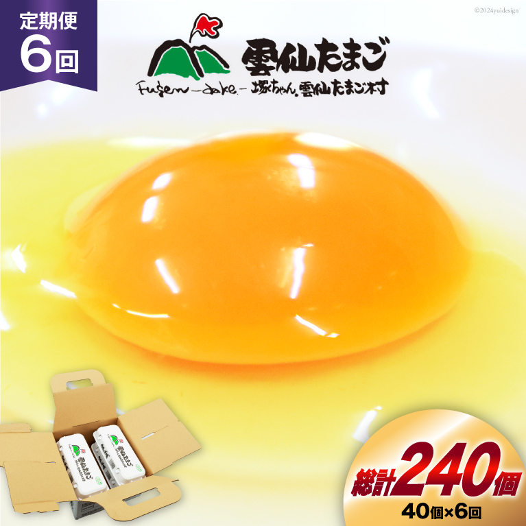 BI032 6  _傽܂LTCY 40 (10×4pbN) (37{⏞3) [  ܂  { ԗ ʎq VN ˂_傽܂ 茧 s ]茧s54000Ei