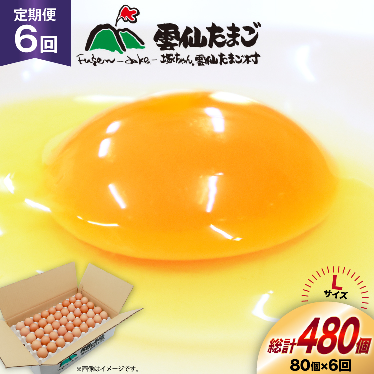 BI038 6  ՂI _傽܂LTCY 80 (75{⏞5) [  ܂  { ԗ ʎq VN ˂_傽܂ 茧 s ]茧s78000Ei