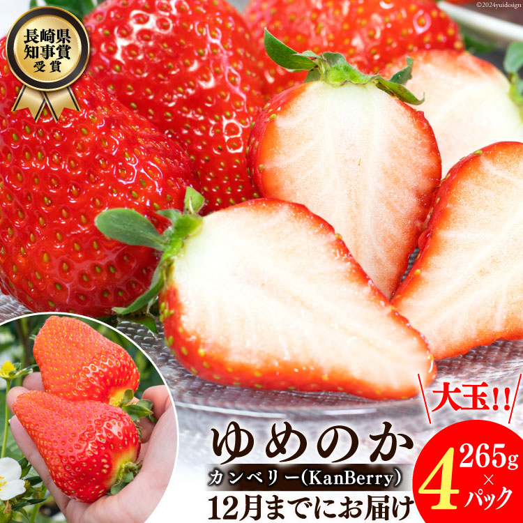 【期間限定発送】DF107 長崎県知事賞受賞【 大玉 いちご 】「 ゆめのか (3L-5L)」265g×4パック <12月までにお届け>長崎県島原市20000果物・フルーツいちご