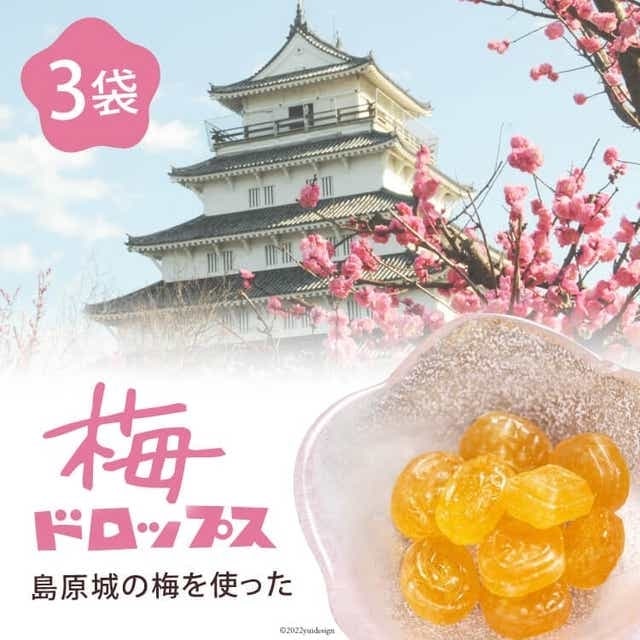 DF228yz̔~gu~hbvXv 3 [   ~  E  TN}hbvX R{ 3 茧 s ]茧s4000َqEXC[c̑ aَq