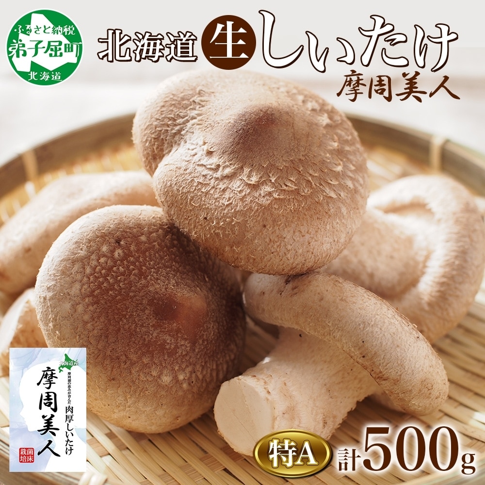 1803.  A Gi 2pbN v500g l VC^P ő  ̂ LmR ۏ͔| 嗱  BBQ o[xL[  kC q 5000~kCq5000؁Ê̂