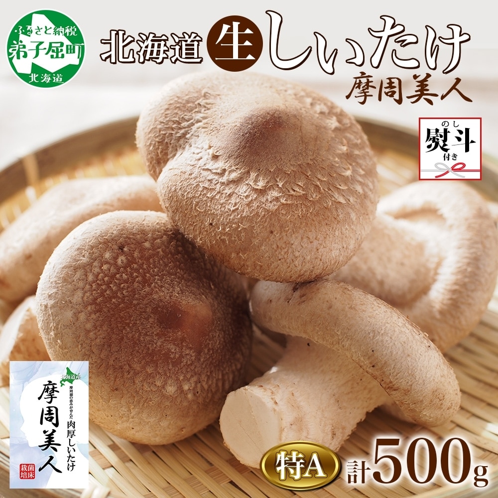 1805. 無地熨斗 しいたけ 特A 秀品 2パック 500g 摩周美人 シイタケ 椎茸 生しいたけ きのこ キノコ 菌床栽培 肉厚 熨斗 のし 名入れ不可  北海道 弟子屈町 5000円北海道弟子屈町5000野菜・きのこ