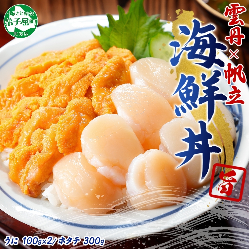 3406. うに ホタテ 豪華 海鮮 セット 4人前 ウニ チリ産 冷凍 200g ほたて 300g 雲丹 帆立 丼 刺身  北海道 弟子屈町北海道弟子屈町26000魚介・海産物貝類