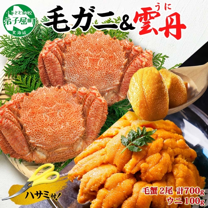 3418. 毛蟹 2尾 計700g前後 うに チリ産 冷凍 100g 専用ハサミ・食べ方ガイド付き 毛ガニ 毛がに 蟹 カニ かに 蟹肉 カニ味噌  ウニ 雲丹 海鮮 ボイル 北海道 弟子屈町北海道弟子屈町42000魚介・海