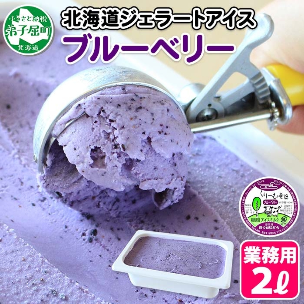 604.アイスクリーム ブルーベリー ジェラート ベリー 業務用 2リットル 2L アイス 大容量 手作り 北海道 弟子屈町北海道弟子屈町15000菓子・スイーツアイス・ジェラート