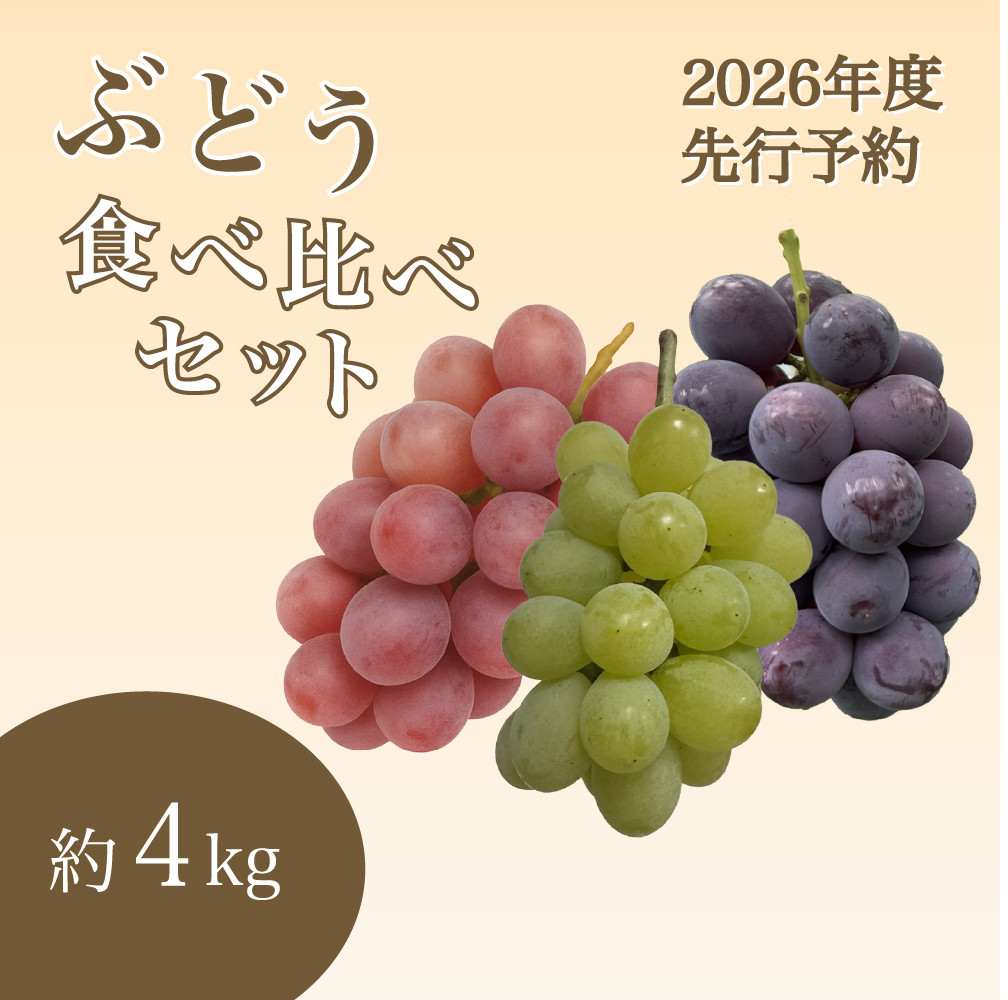 【2026年度_先行予約】【ご家庭用】ぶどう食べ比べセット 約4kg〔2026年8月中旬より順次発送〕愛知県大府市44000果物・フルーツマスカット・ぶどう