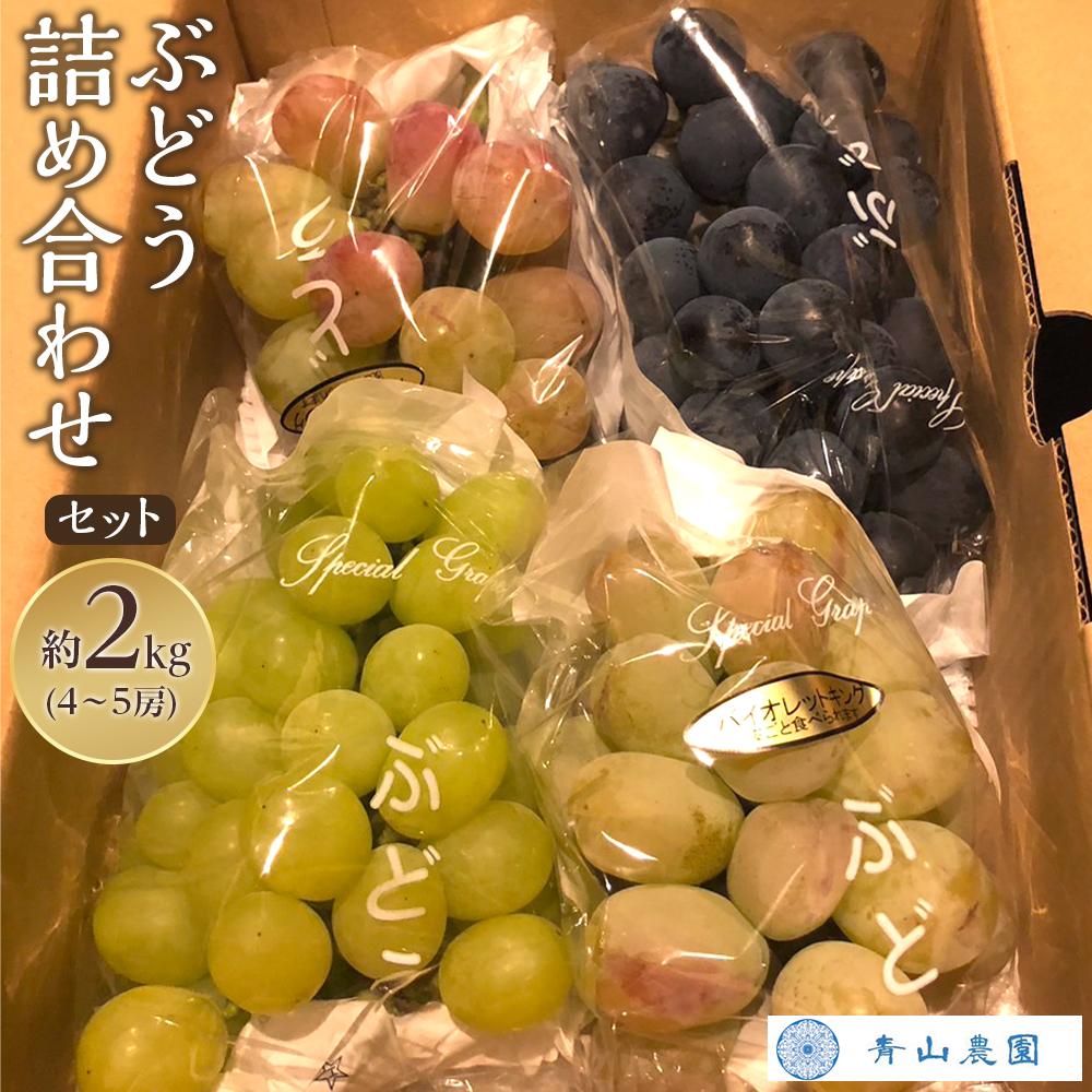 ys\zyʌz Ԃǂ lߍ킹Zbg 2kg k2025N8{菇lm{s22000ʕEt[c}XJbgEԂǂ
