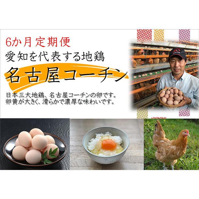 【6か月定期便】日本三大地鶏！！ 「純系 名古屋コーチンの卵」（30個） 本当に美味しい食べ物は調味料の味に負けません！ | 愛知県大府市 | JRE  MALLふるさと納税