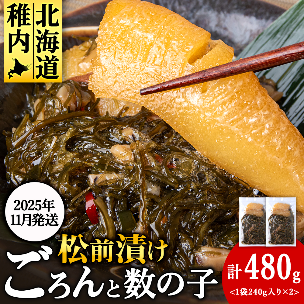 y11zkCY ̎q OЂ 480gi240g ×2܁j O Mtg v[g 蕨 ̓  kCts6000ECYqȆ