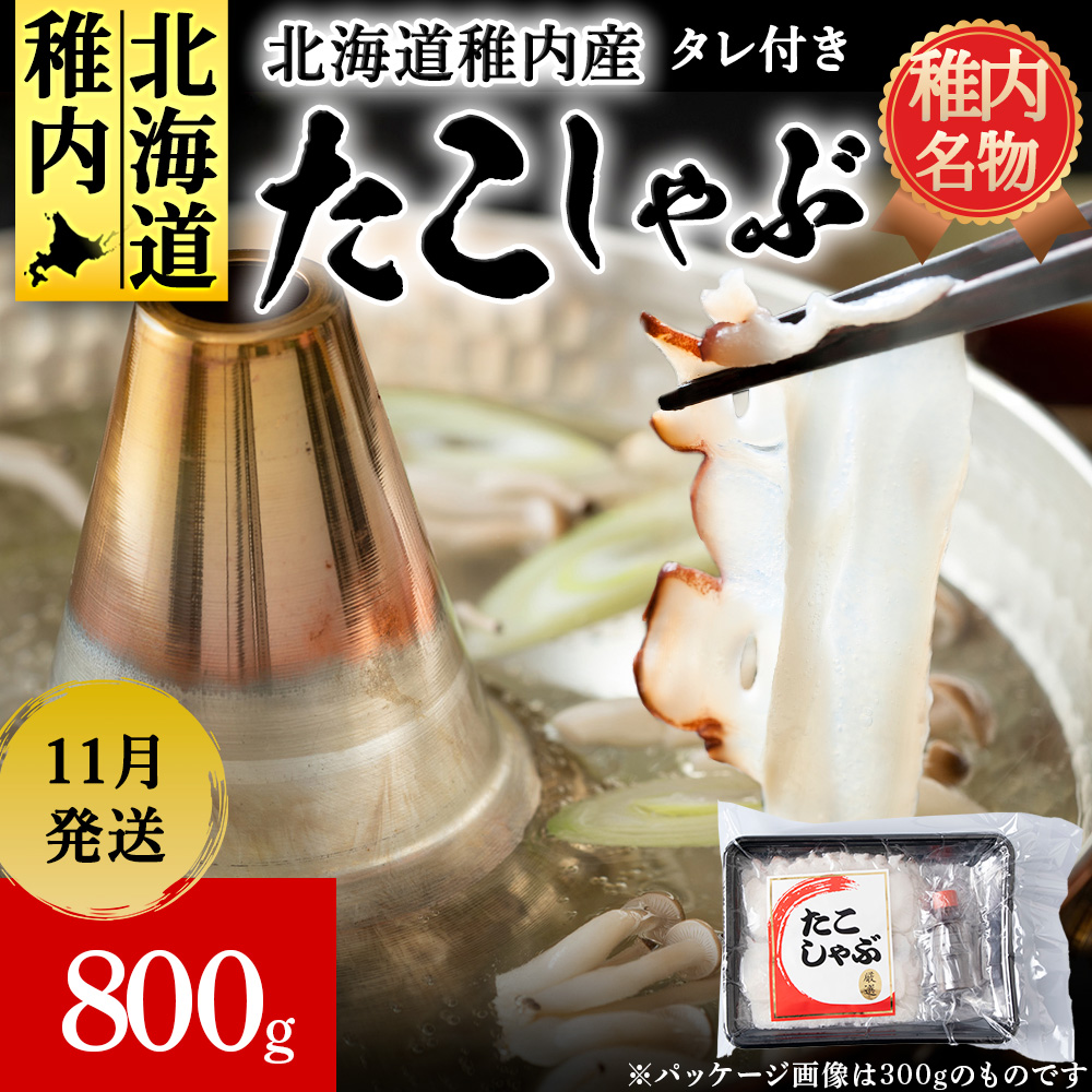 y2025N11ztY  800gi400g ×2jtkCts11500ECYCJE^REEj