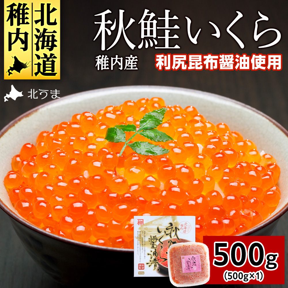 【宗谷海峡産】秋鮭いくら醤油漬け500g北海道稚内市31000魚介・海産物いくら
