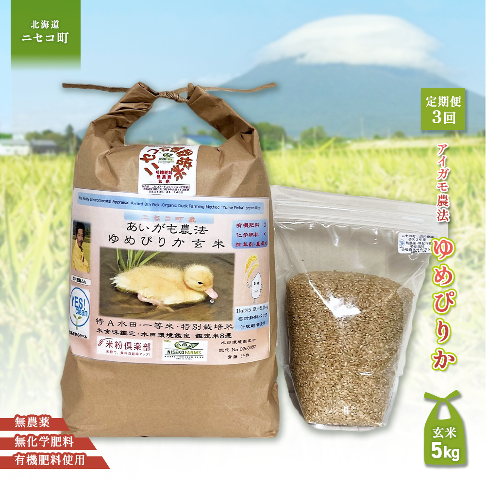 sʌstIߘa7NYāty3ցz_@߂҂肩 yāzyL@엿/_Ew엿~pz ߘa7Nx 5kg(1kg×5)@cӒEĐHӒmӒāyYes