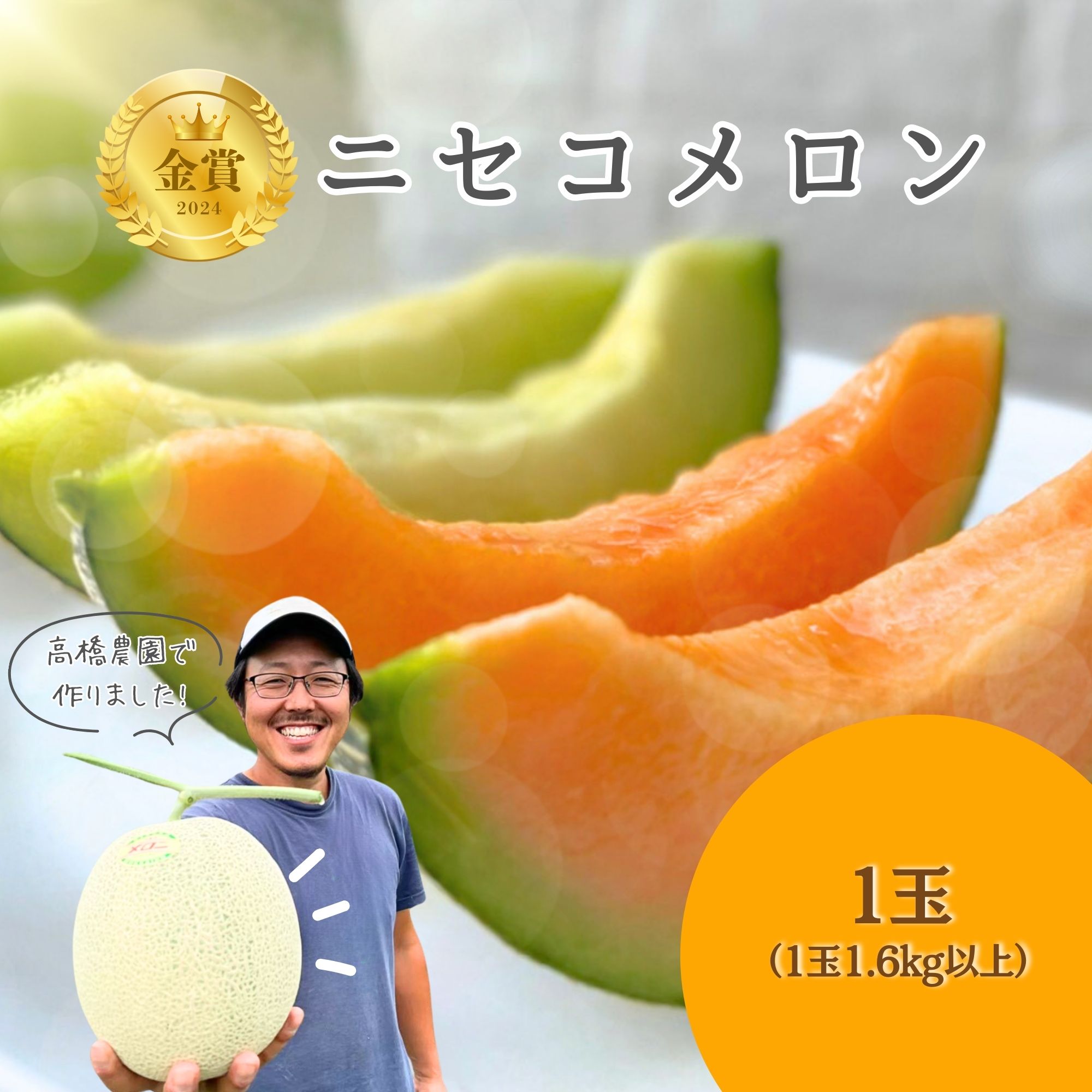 《2026年分受付中》糖度13度以上!市場には出回らない北海道ニセコメロン1玉(1.6kg以上)/高橋農園【3700101】北海道ニセコ町16000果物・フルーツメロン・スイカ