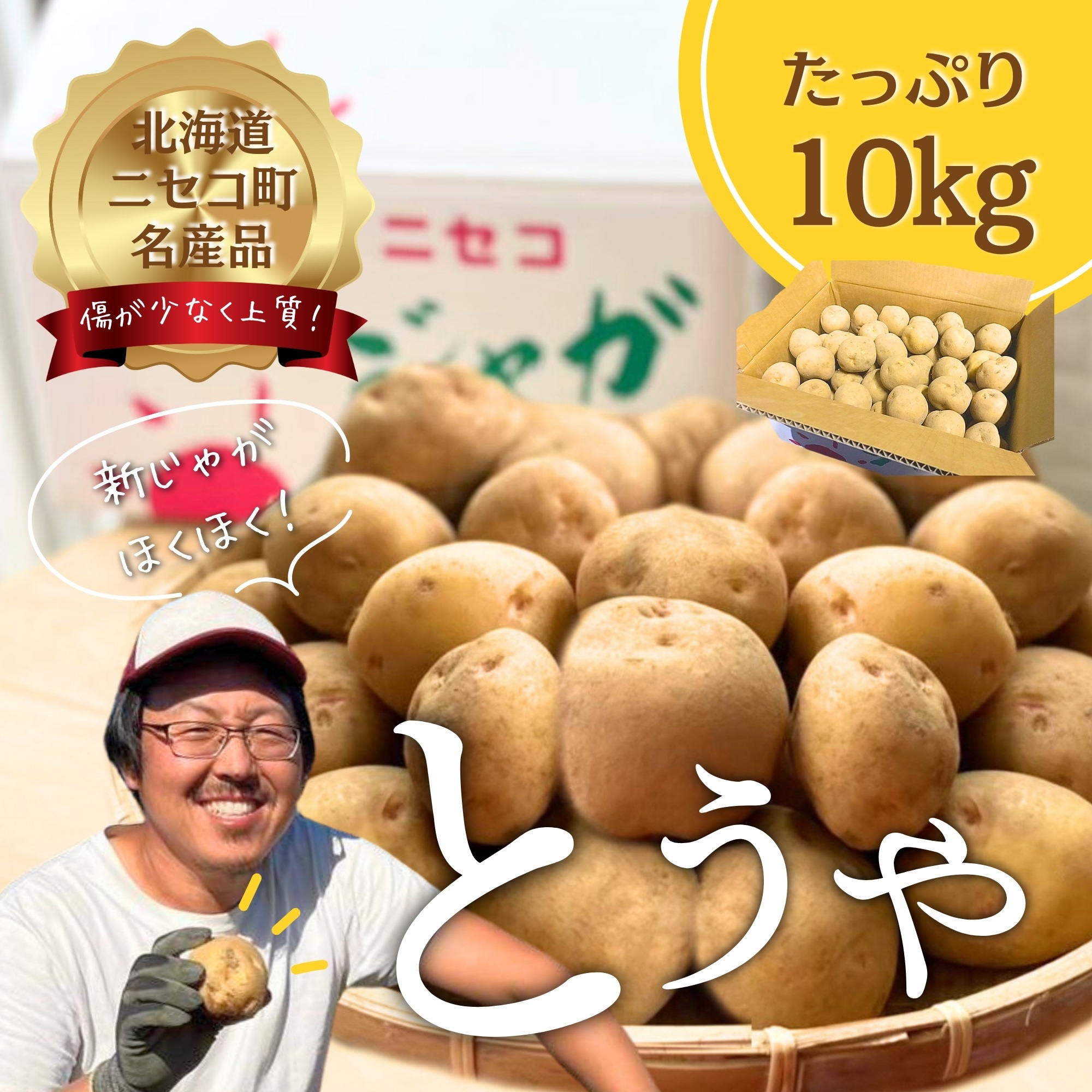 《2025年分受付中》なめらかな舌触りに感動!北海道ニセコ名産「とうや」新じゃが10kg/高橋農園【3700601】北海道ニセコ町15000野菜・きのこじゃがいも・イモ類