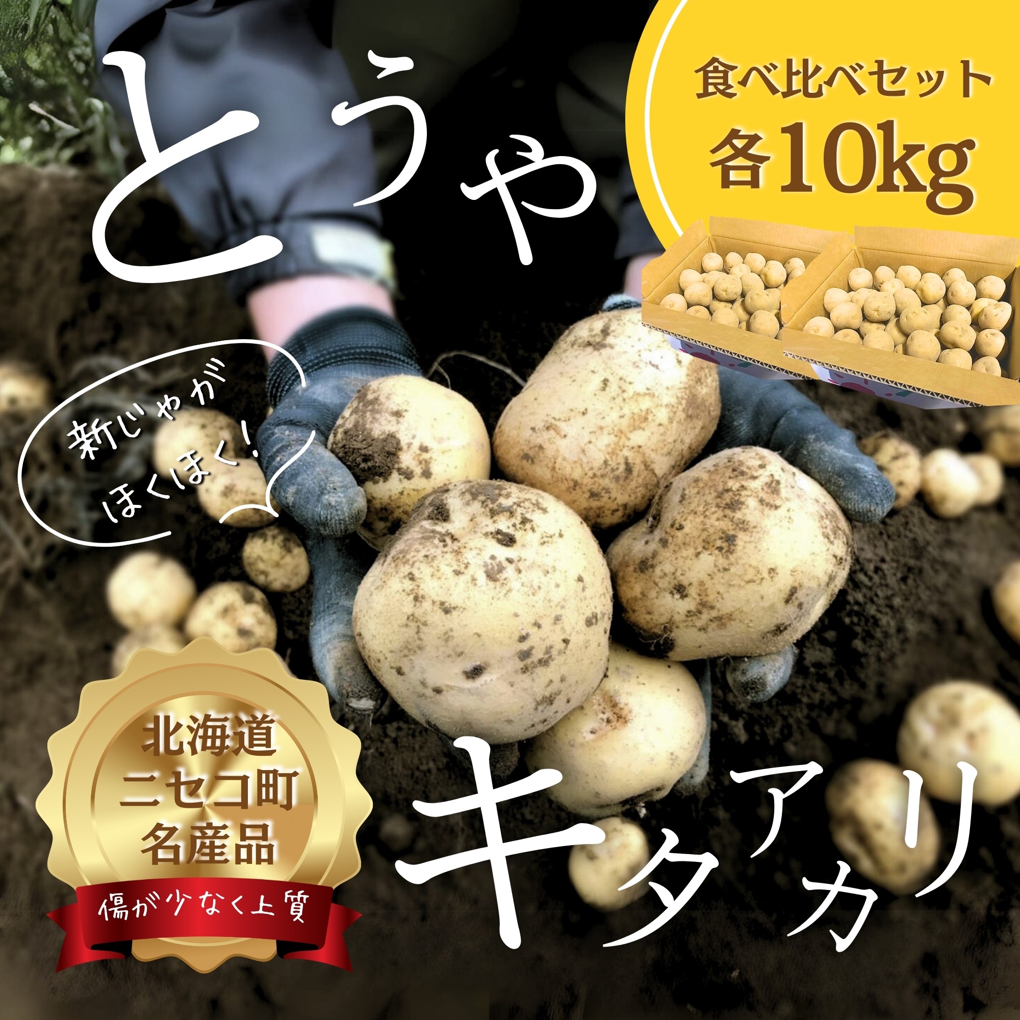 《2025年分受付中》北海道ニセコ名産「キタアカリ」&「とうや」!新じゃが食べ比べセット(各10kg)/高橋農園【3700701】北海道ニセコ町28000野菜・きのこじゃがいも・イモ類
