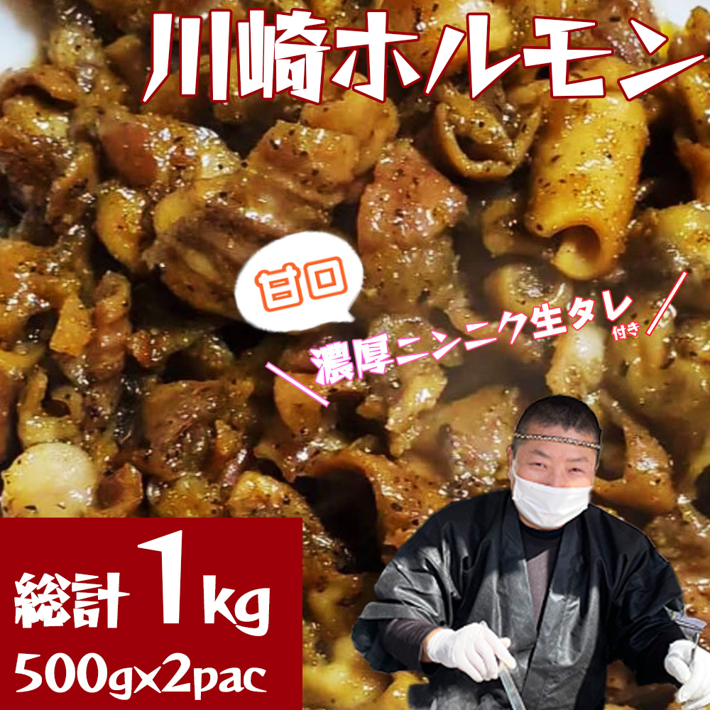 mZjjN^wÌtxnzv1kgi500g×2pj@y04324-0262z{錧蒬11000ؓ