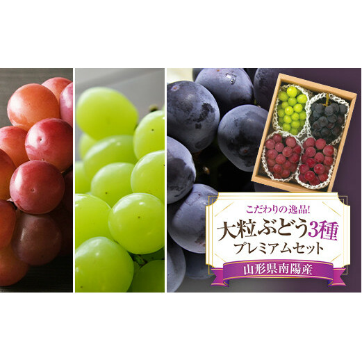 yߘa7NYs\z 嗱Ԃǂ3v~AZbg 4[ sߘa7N9{`t w؂Ԃǂx Ԃǂ ʕ t[c fU[g Hה R` zs [676]R`zs31000ʕ