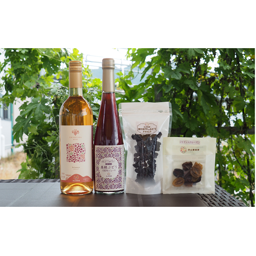 ʎ܂ RC(fEFA) + Ԃǂʏ`100%W[X + }tԂǂZbg wRʎx R` zs [784]R`zs15000EAR[C