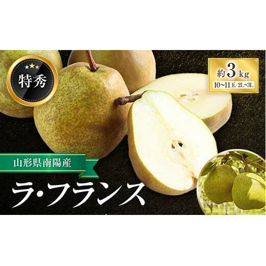 yߘa7NYs\z EtX 3kg (10`11 G 2`3L) sߘa7N11`t wY  x tX m mȂ ʕ t[c R` zs [571]R`zs1000